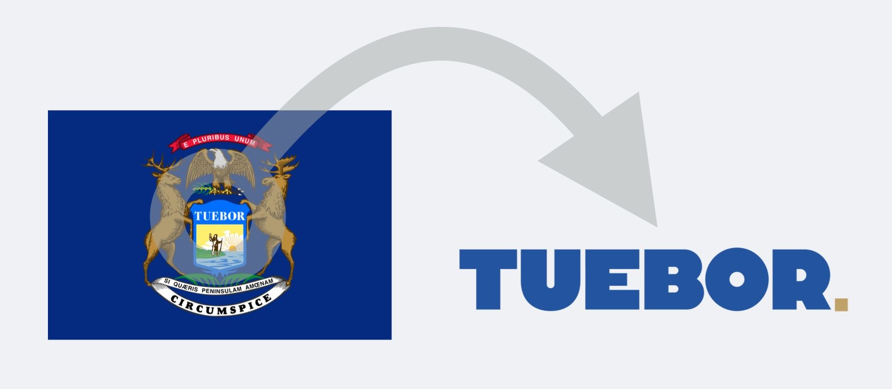 Michigan state flag with the word Tuebor, the origin of the Tuebor Michigan investment pledge